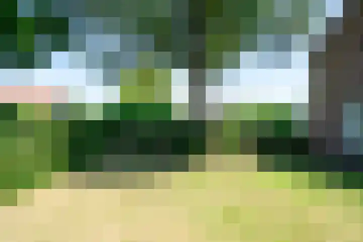 Auerschootseweg 24 Bakel thumbnail 51