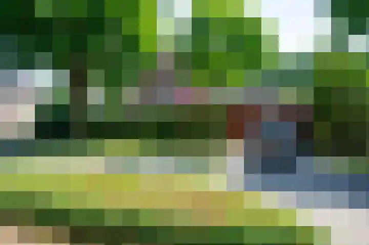Auerschootseweg 24 Bakel thumbnail 53