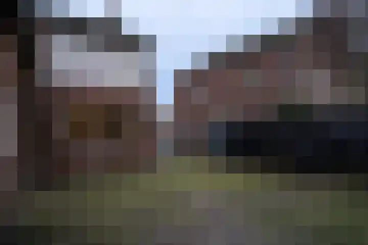 Auerschootseweg 8 Bakel thumbnail 15