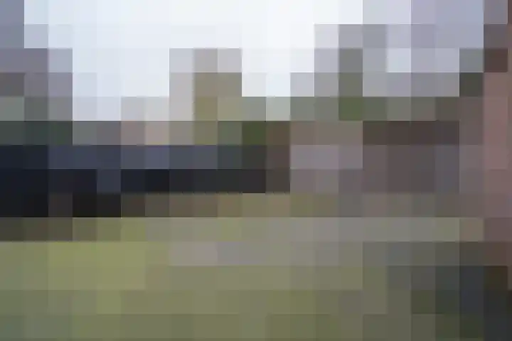 Auerschootseweg 8 Bakel thumbnail 28