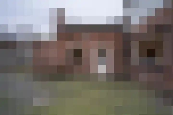Auerschootseweg 8 Bakel thumbnail 30