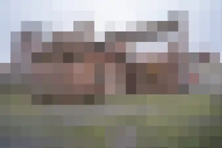 Auerschootseweg 8 Bakel thumbnail 31