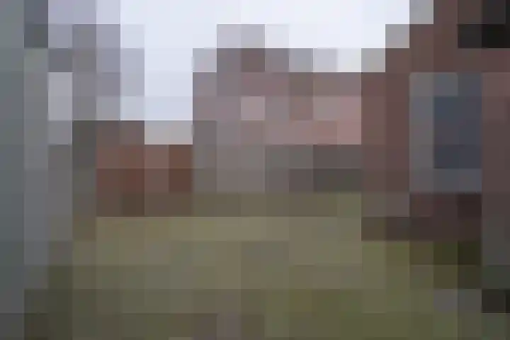 Auerschootseweg 8 Bakel thumbnail 32