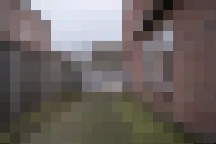 Auerschootseweg 8 Bakel thumbnail 34