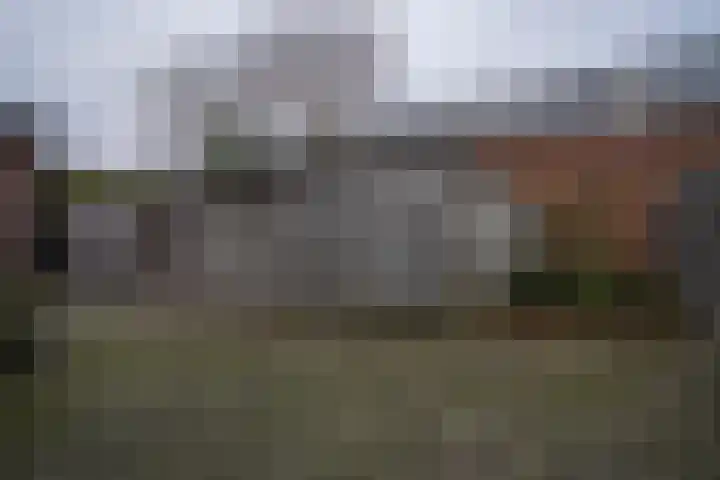 Auerschootseweg 8 Bakel thumbnail 35