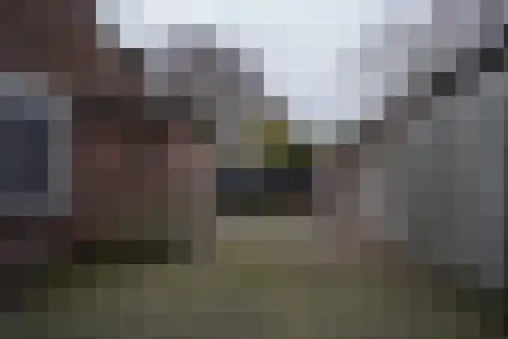 Auerschootseweg 8 Bakel thumbnail 36