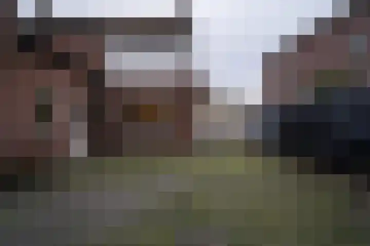 Auerschootseweg 8 Bakel thumbnail 37