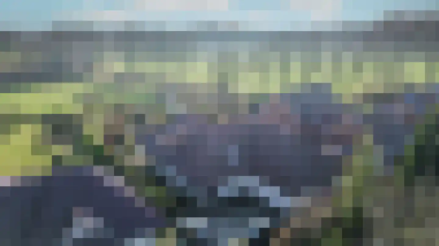 Auf dem Zuschlag 48 Wilsum thumbnail 4