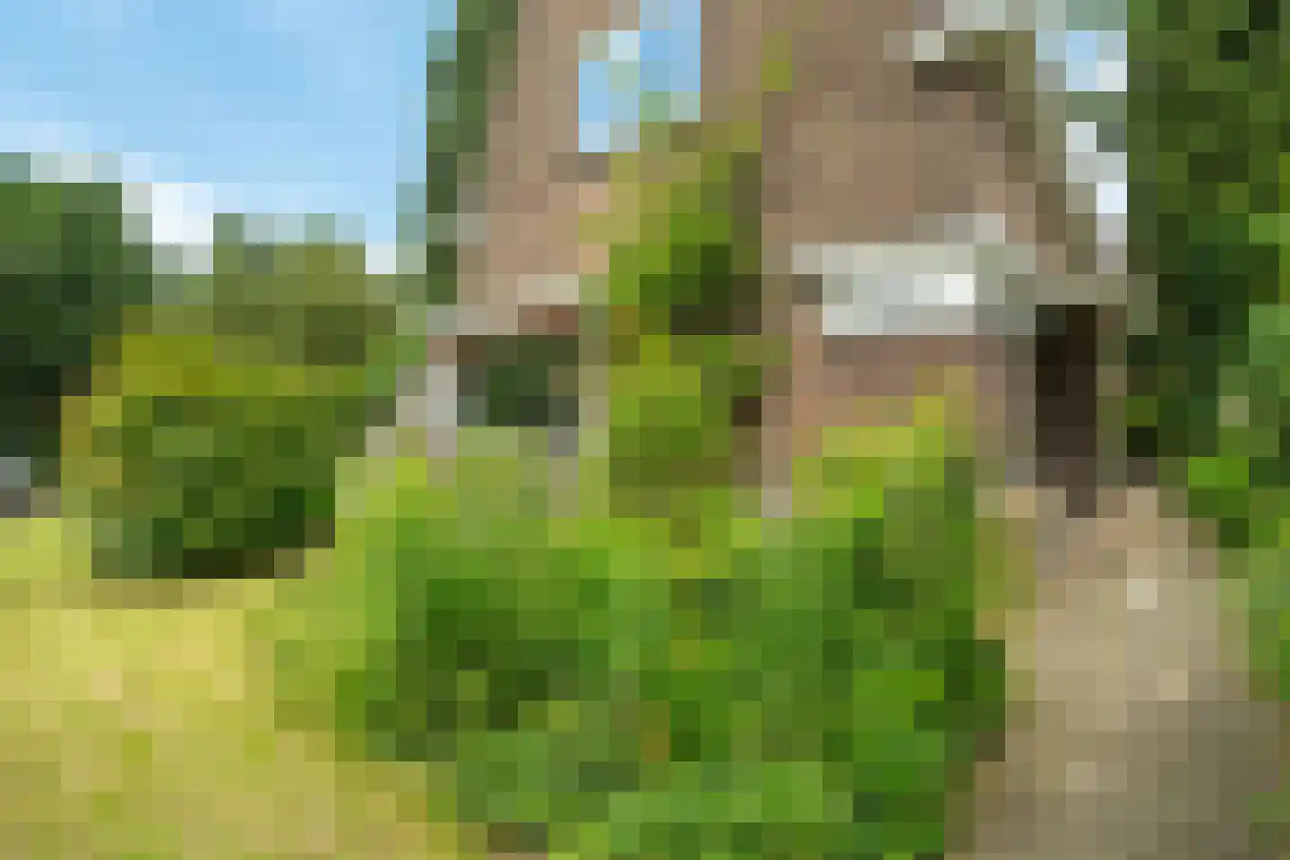 August Faliseweg 1 Wageningen thumbnail 36