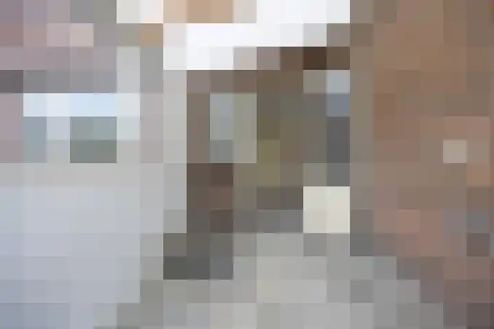 August Sniedersstraat 6 Waalwijk thumbnail 13