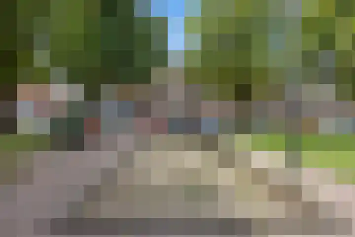 August Sniedersstraat 6 Waalwijk thumbnail 34