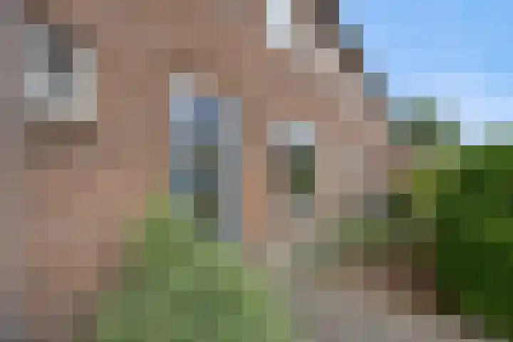 August Sniedersstraat 6 Waalwijk thumbnail 5