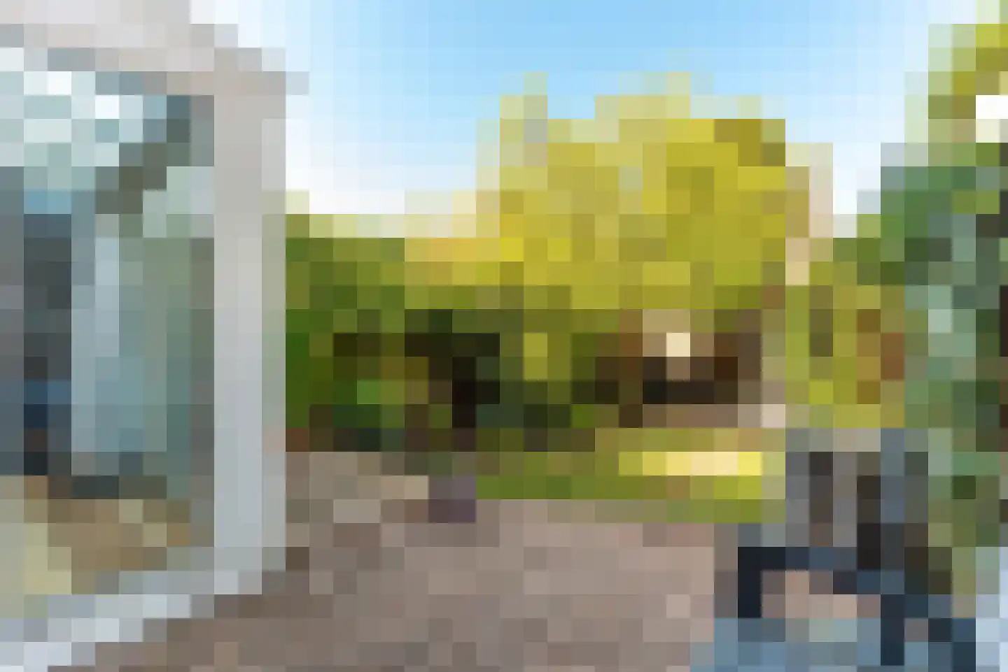 Augusta de Witlaan 18 Bussum thumbnail 26