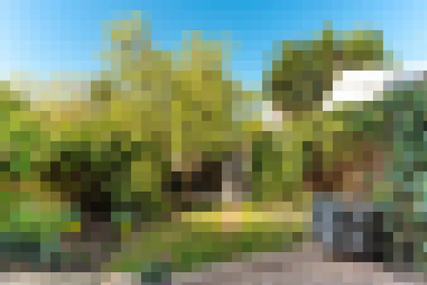 Augusta de Witlaan 18 Bussum thumbnail 27