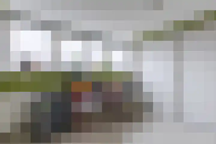 Augusta de Witlaan 9 Amstelveen thumbnail 22