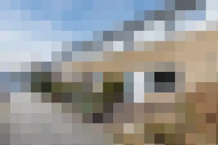 Augusta de Witlaan 9 Amstelveen thumbnail 9
