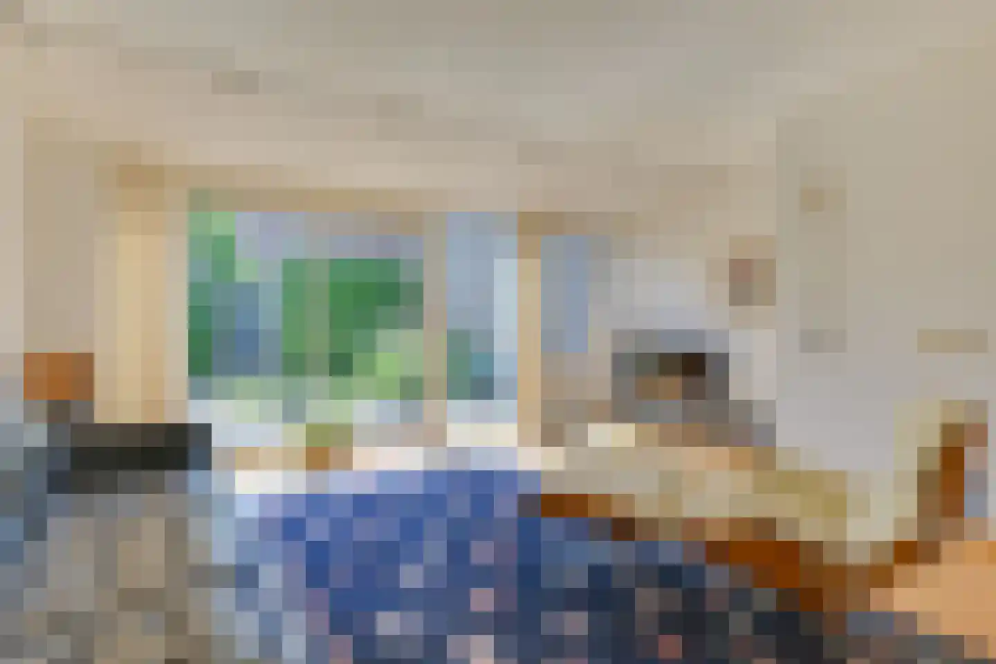 Augusta de Witstraat 31 Castricum thumbnail 11