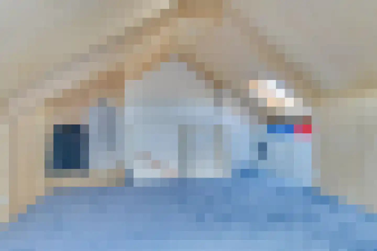 Augusta de Witstraat 31 Castricum thumbnail 34