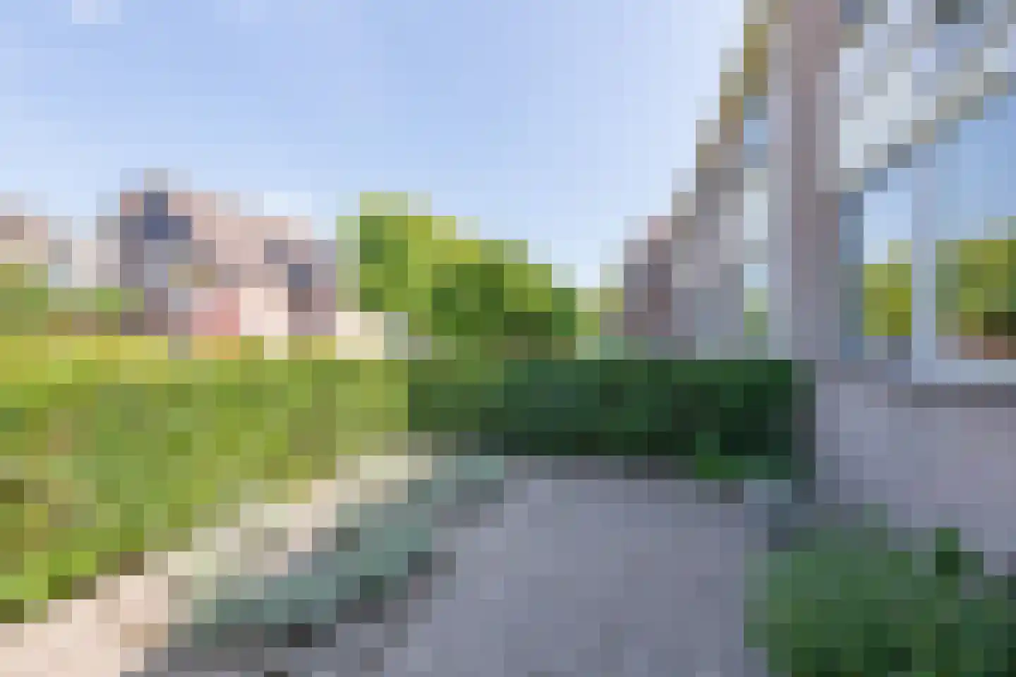 Augusta de Witstraat 31 Castricum thumbnail 6