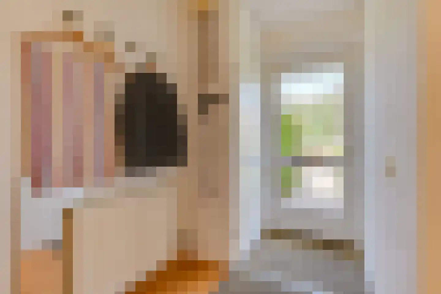 Augusta de Witstraat 31 Castricum thumbnail 8