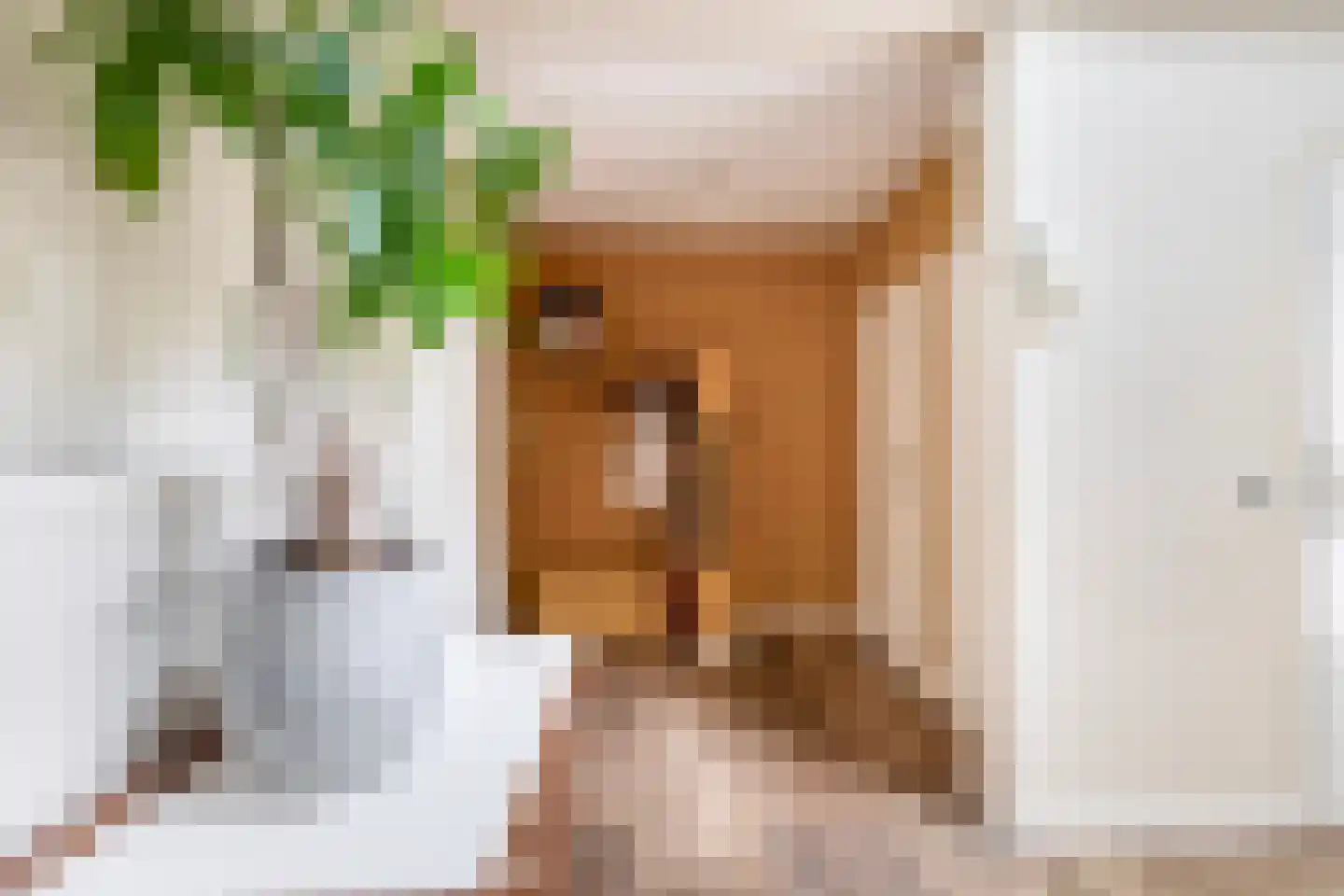 Augusta de Witstraat 40 Gemert thumbnail 12
