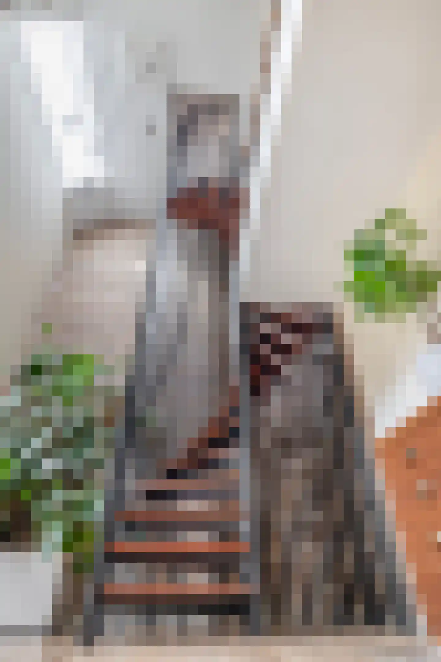 Augusta de Witstraat 40 Gemert thumbnail 14