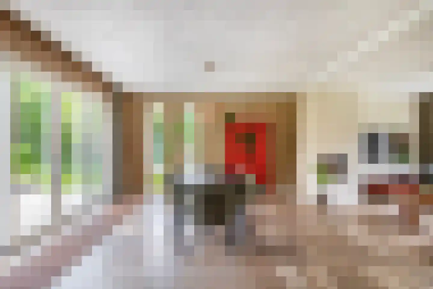 Augusta de Witstraat 40 Gemert thumbnail 16