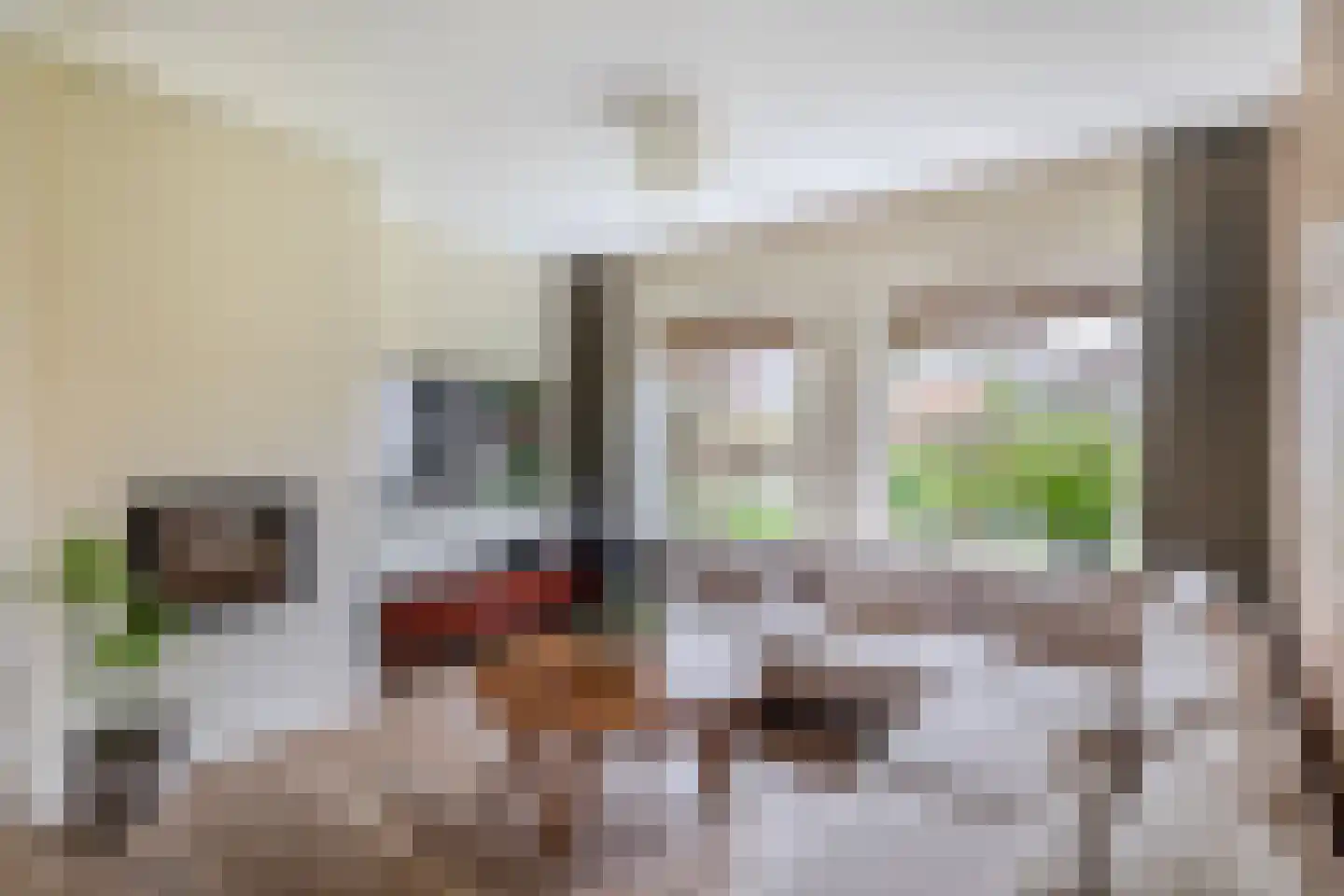Augusta de Witstraat 40 Gemert thumbnail 18