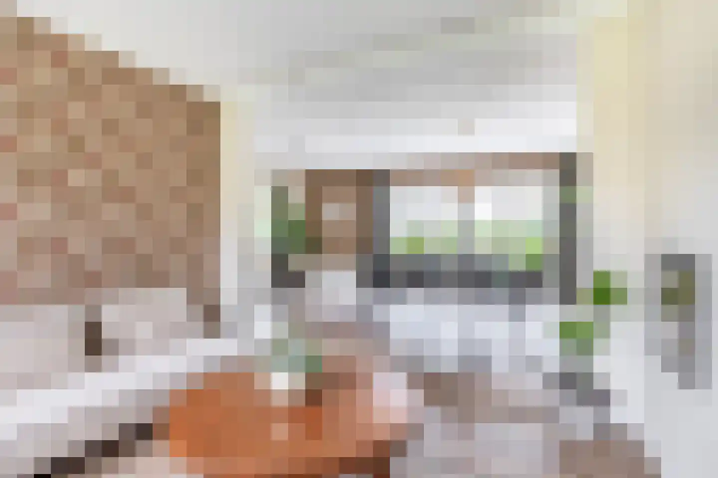 Augusta de Witstraat 40 Gemert thumbnail 20