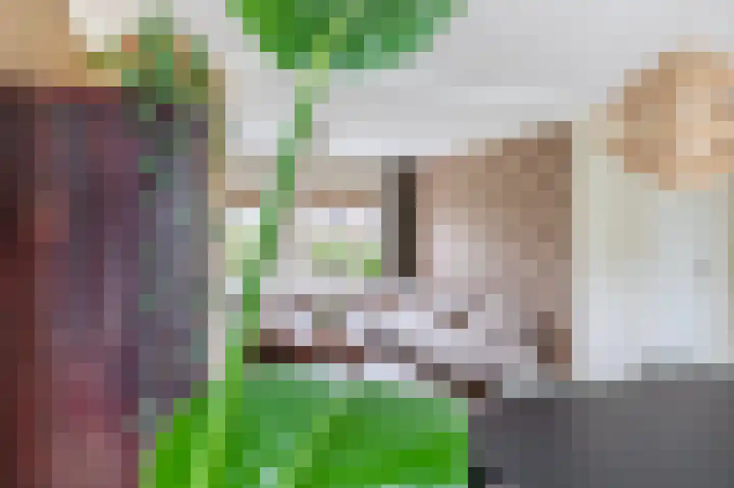 Augusta de Witstraat 40 Gemert thumbnail 23