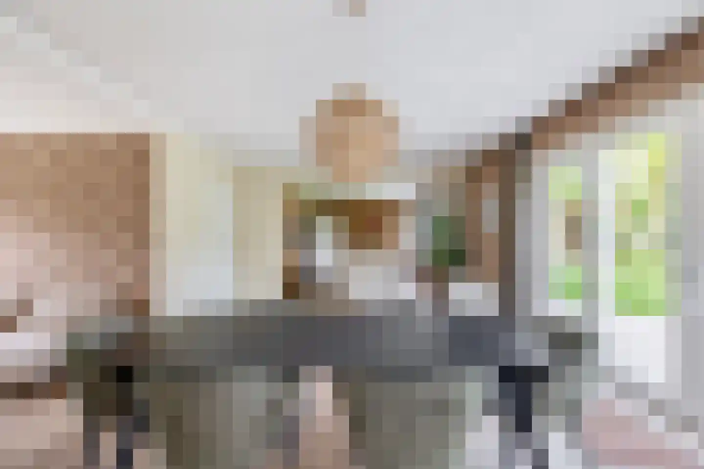 Augusta de Witstraat 40 Gemert thumbnail 25