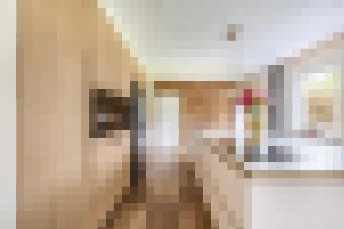 Augusta de Witstraat 40 Gemert thumbnail 27