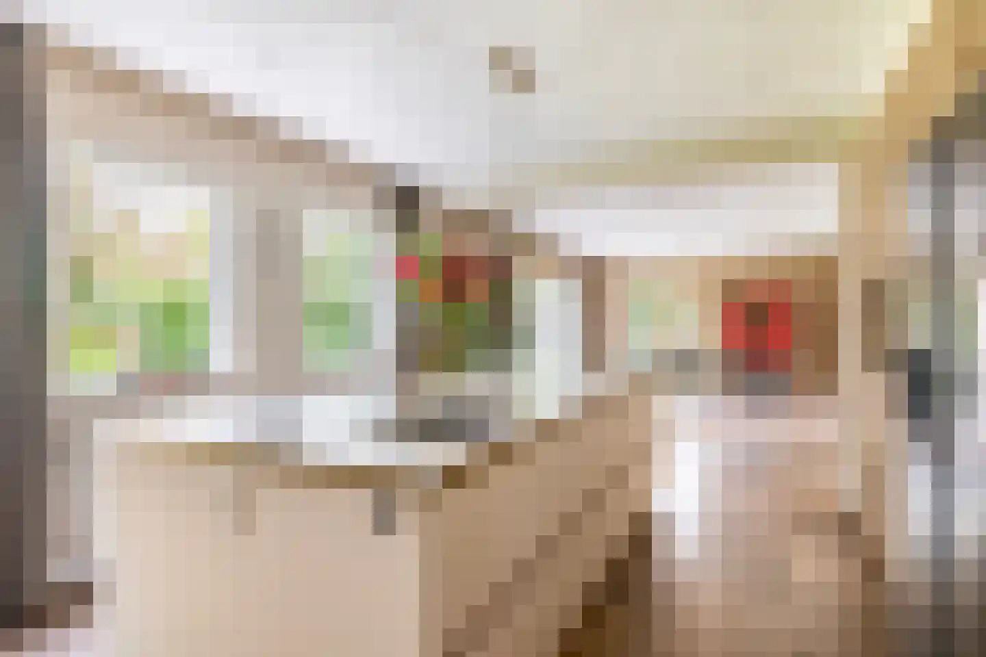 Augusta de Witstraat 40 Gemert thumbnail 31