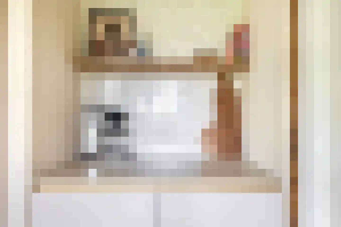 Augusta de Witstraat 40 Gemert thumbnail 33