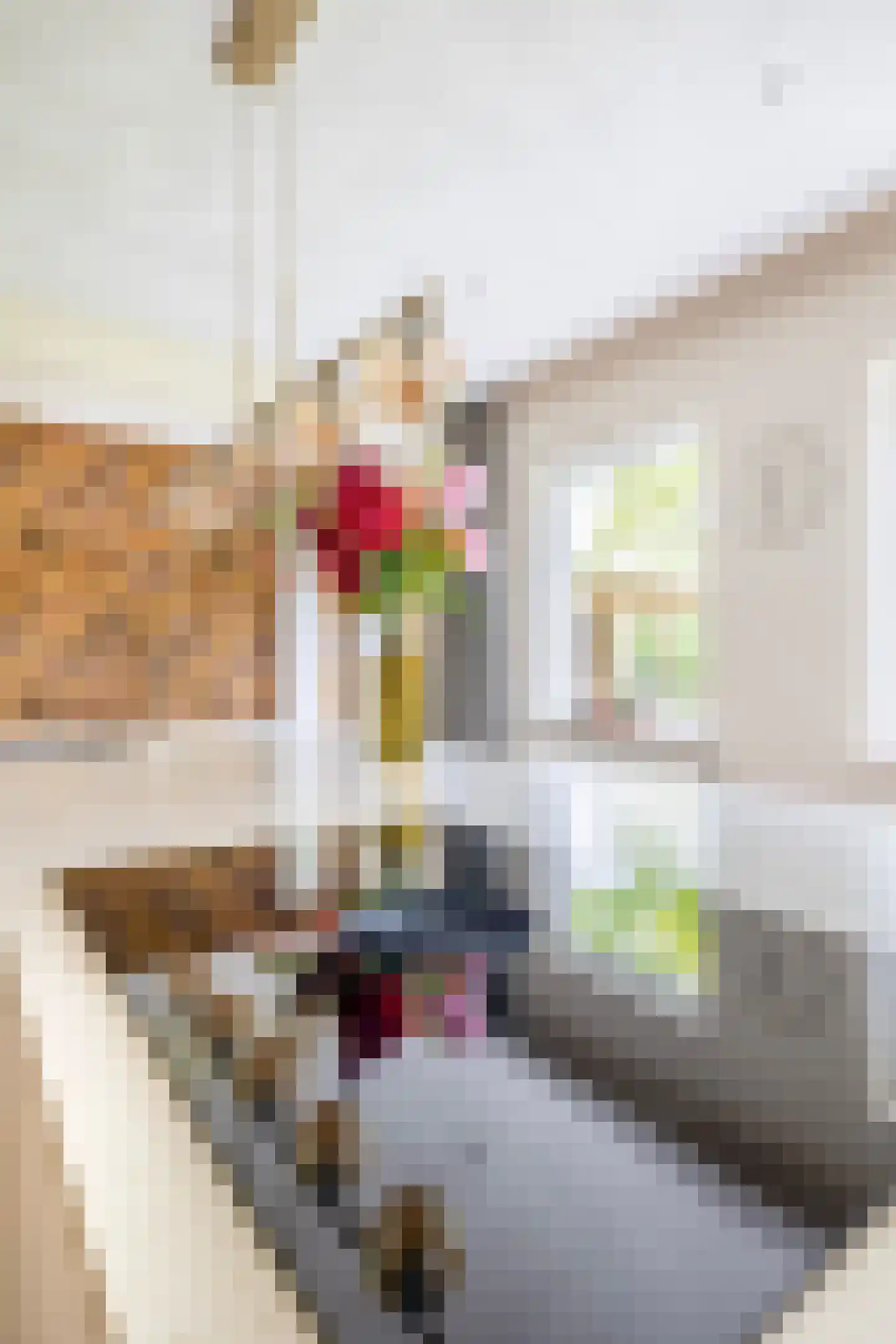 Augusta de Witstraat 40 Gemert thumbnail 34