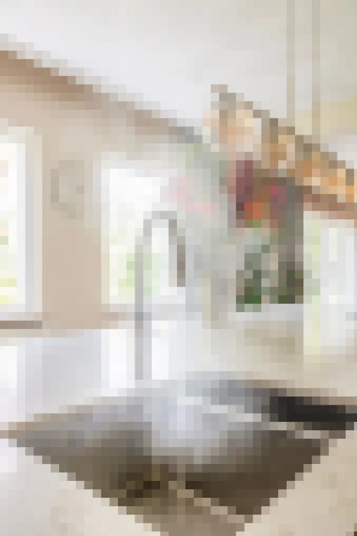 Augusta de Witstraat 40 Gemert thumbnail 35
