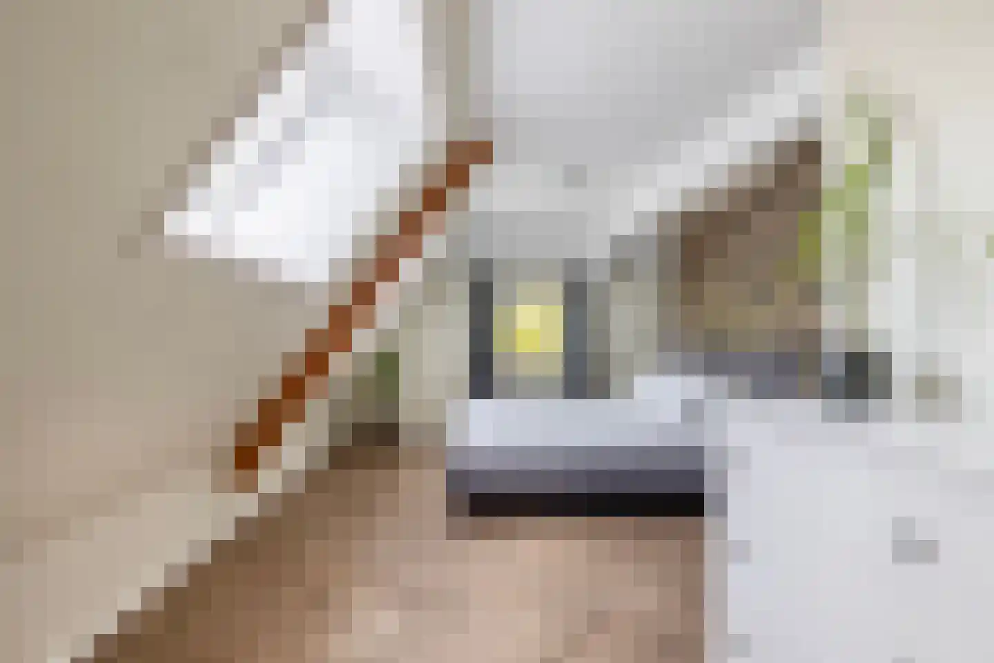 Augusta de Witstraat 40 Gemert thumbnail 45