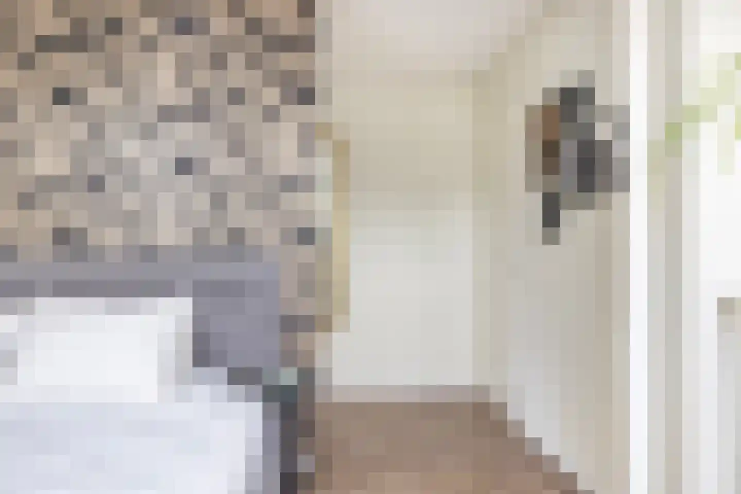 Augusta de Witstraat 40 Gemert thumbnail 47