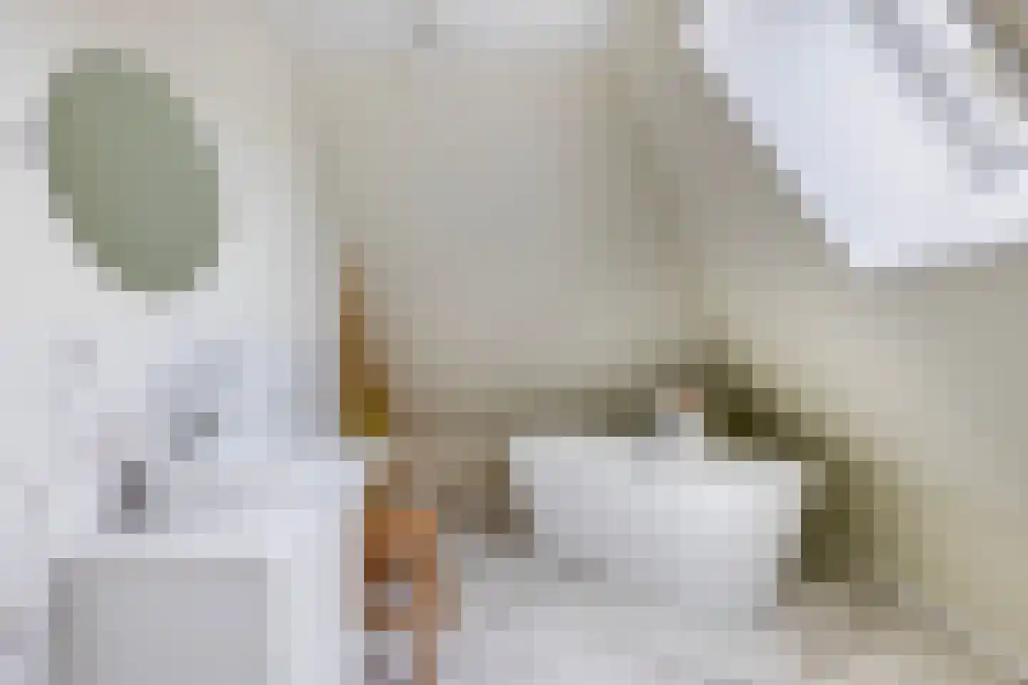 Augusta de Witstraat 40 Gemert thumbnail 48