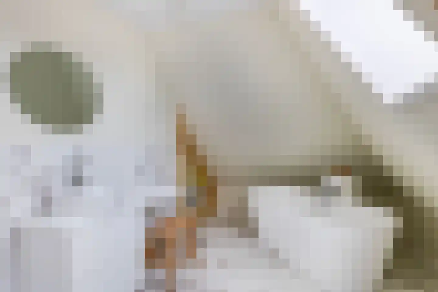 Augusta de Witstraat 40 Gemert thumbnail 49