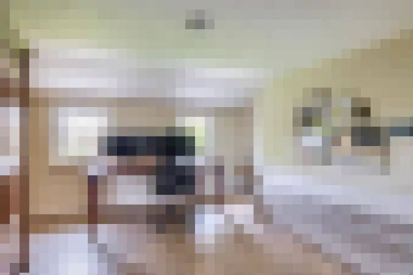 Augusta de Witstraat 40 Gemert thumbnail 54