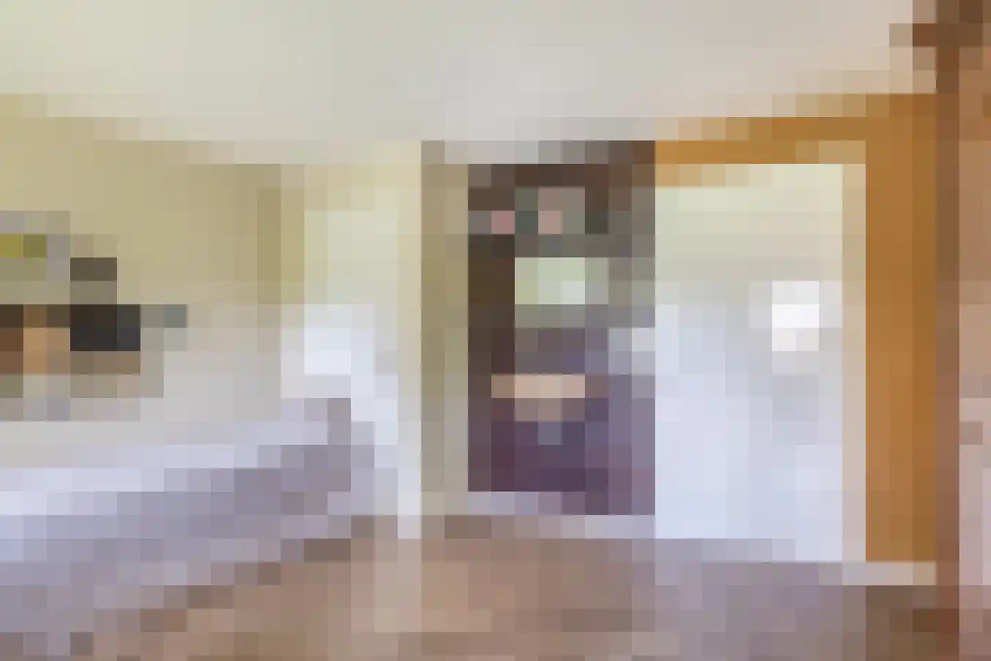 Augusta de Witstraat 40 Gemert thumbnail 55