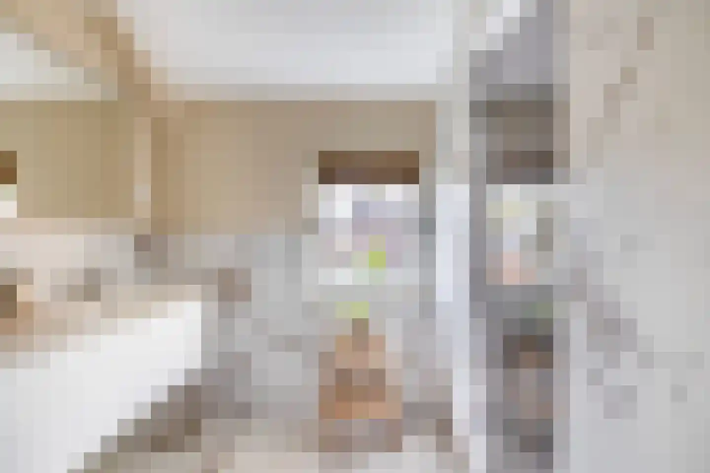 Augusta de Witstraat 40 Gemert thumbnail 61