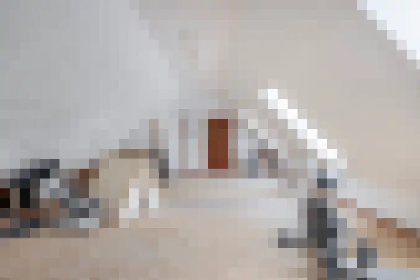 Augusta de Witstraat 40 Gemert thumbnail 63