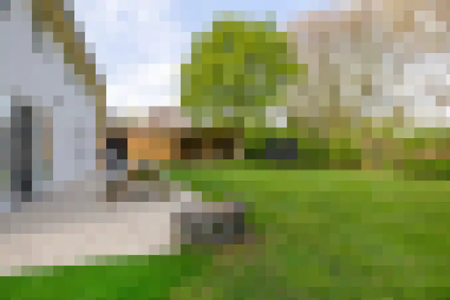 Augusta de Witstraat 40 Gemert thumbnail 68