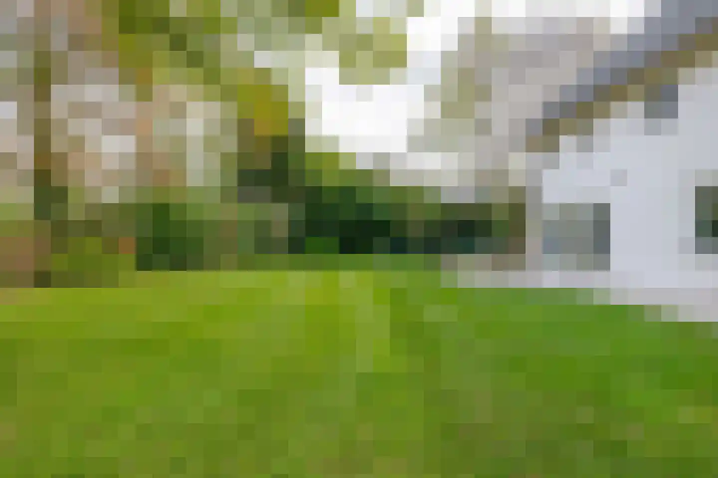 Augusta de Witstraat 40 Gemert thumbnail 71