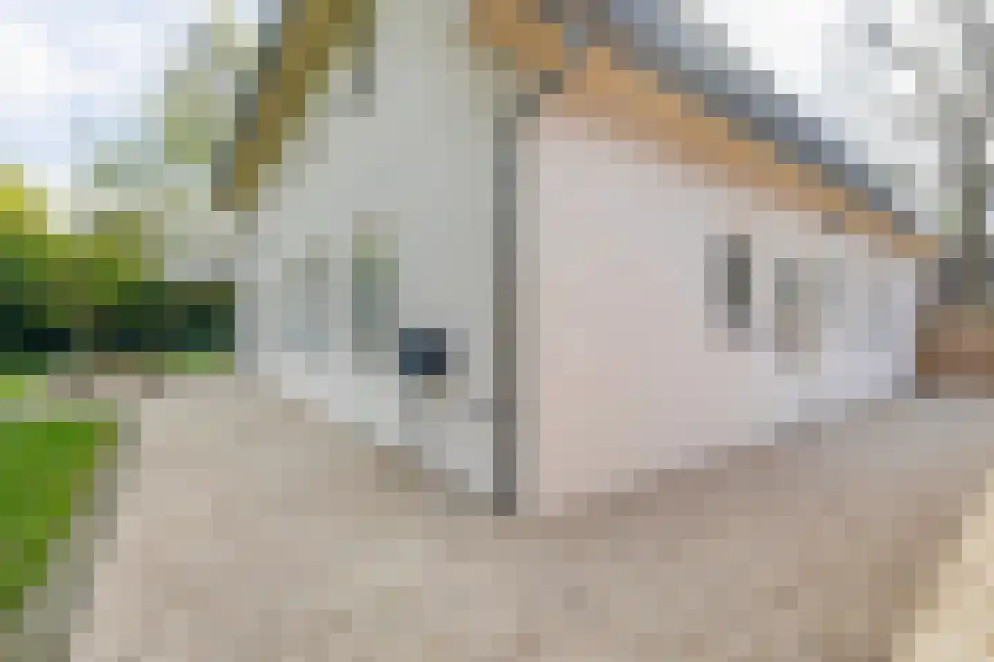 Augusta de Witstraat 40 Gemert thumbnail 72