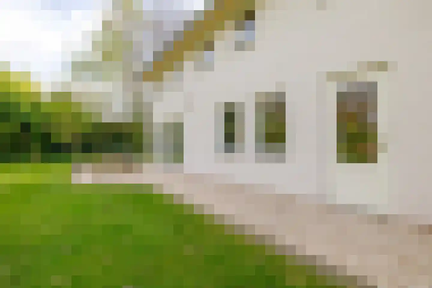 Augusta de Witstraat 40 Gemert thumbnail 73