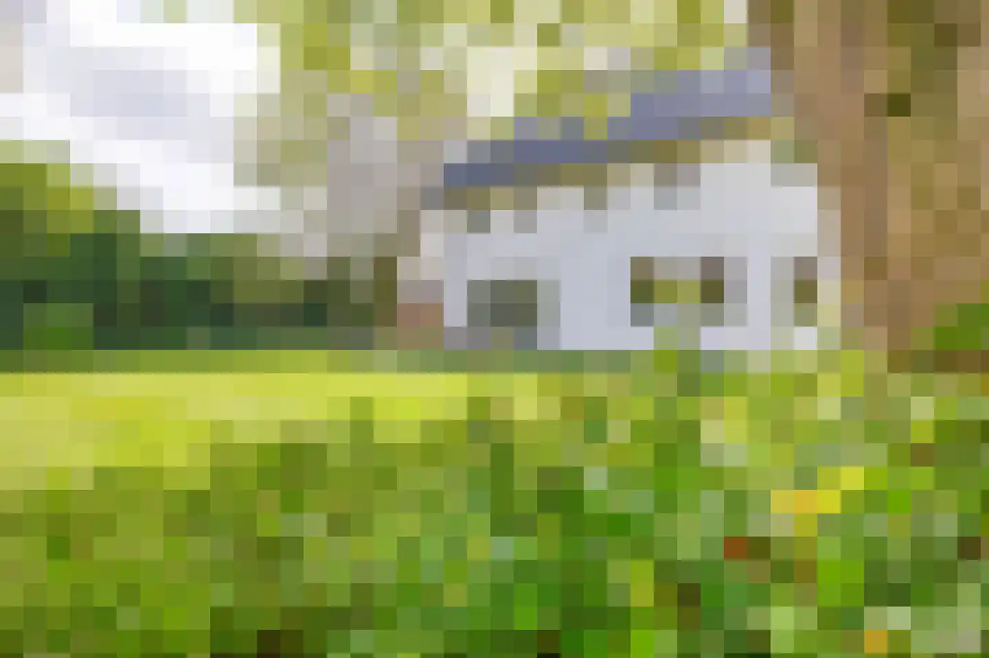 Augusta de Witstraat 40 Gemert thumbnail 74