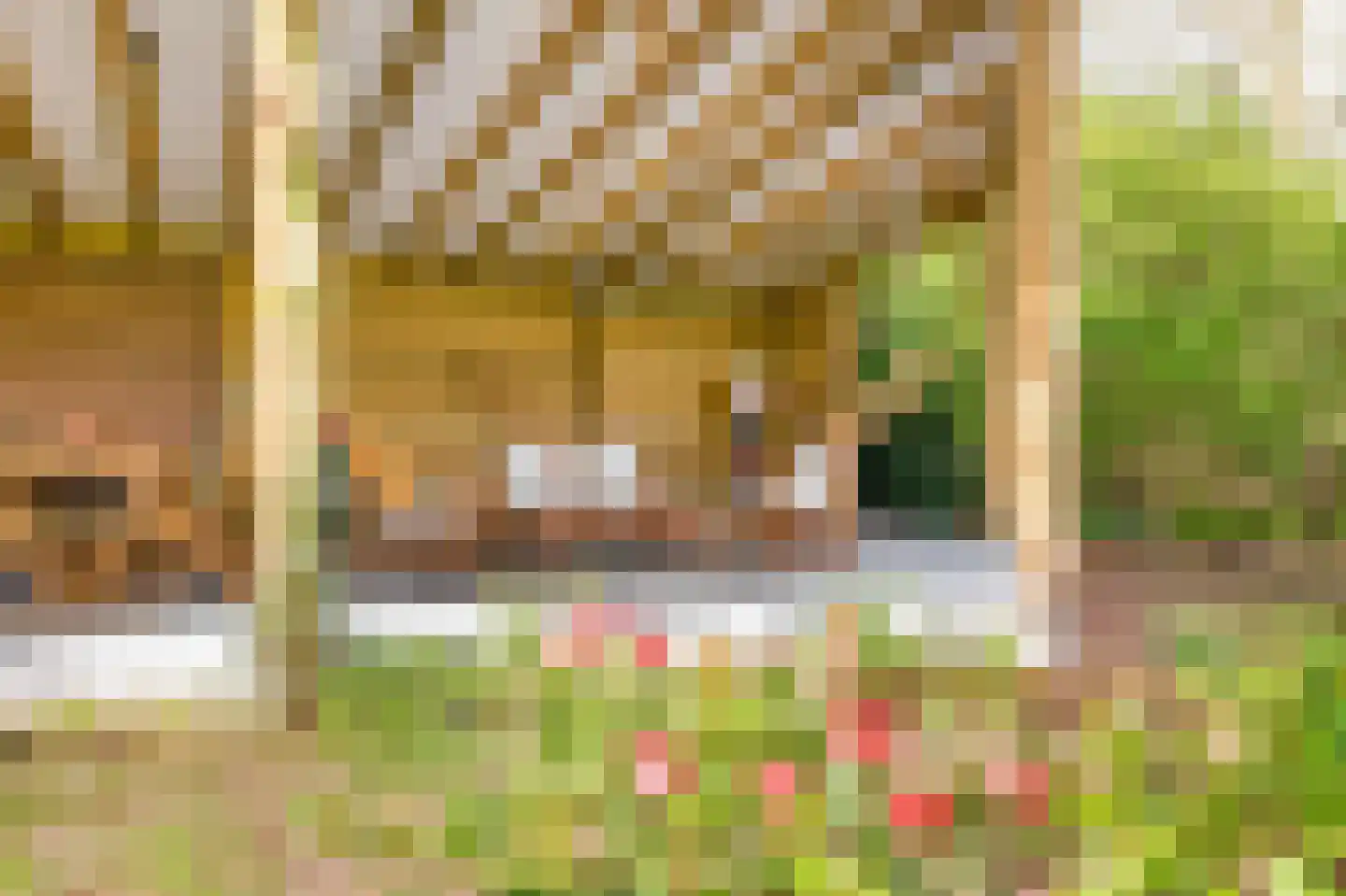 Augusta de Witstraat 40 Gemert thumbnail 77